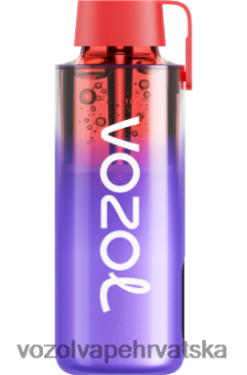 VOZOL Vape Cijena - VOZOL NEON 10000 led od kupine XXV02242