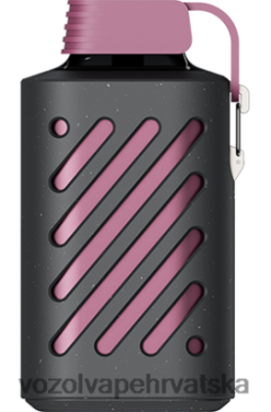 VOZOL Vape - VOZOL GEAR 10000 marakuja malina mandarina XXV02300