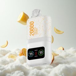 Ananas kokos Aivono AIM MAGIC 20000 Puffs Dual Mesh Coils Type-c Croatia Wholesale