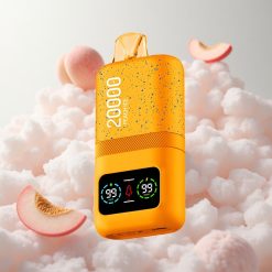 Breskva Led Aivono AIM MAGIC 20000 Puffs Dual Mesh Coils Type-C Croatia Wholesale